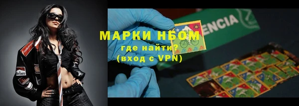 стафф Вязьма