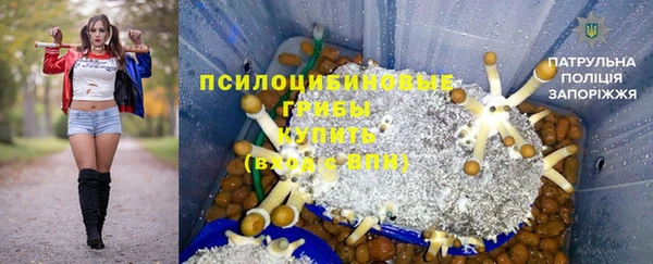прущие крисы Гусев