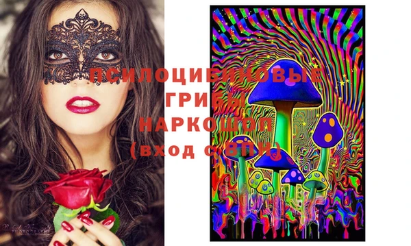меф Горняк